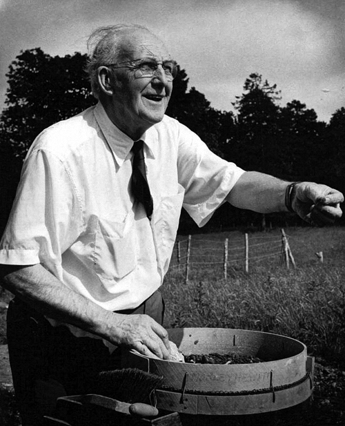 A T M Hewitt
