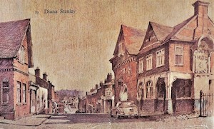 Cover of Diana Stanley's book