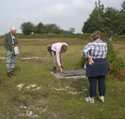 Members visit the New Forest