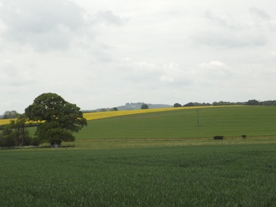 Landscape near source of Pill Hill Brook
