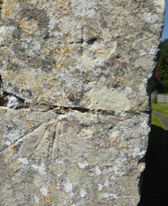 Scratch or mass dial