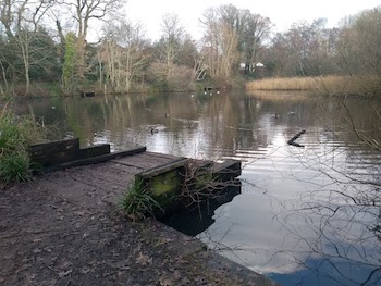 Shirley Pond