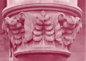 cover image of vol 65