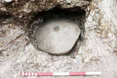 Shipton Bellinger rotary quern in situ.