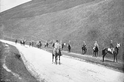 Horses for Park House Stables