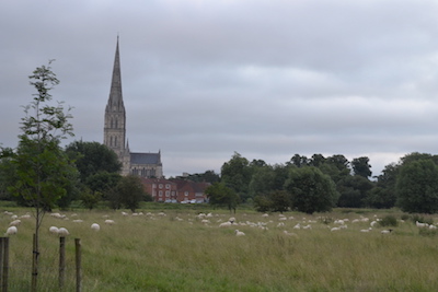 Salisbury Cathedral from the Meadows