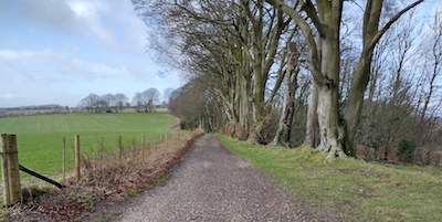 View westwards towards Ladle Hill