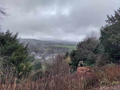 View east from Selborne Common
