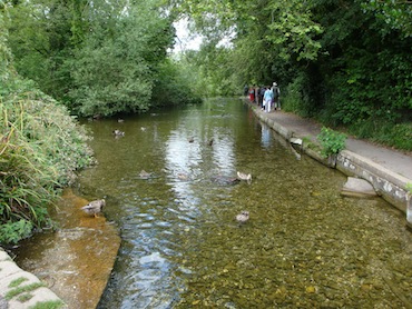 Part of the Millenium Trail