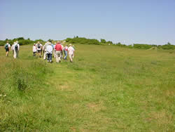 View of Stockbridge Down from south.