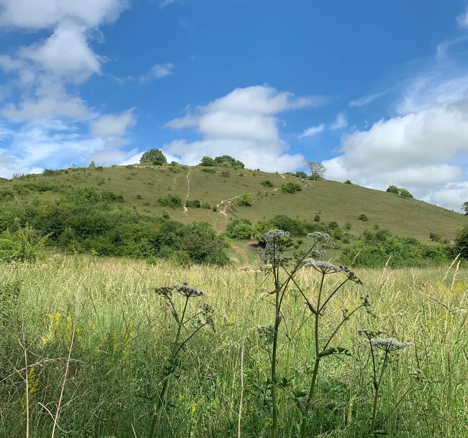 St Catherine’s Hill