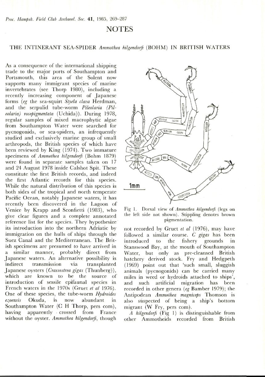 The Itinerant Sea-Spider