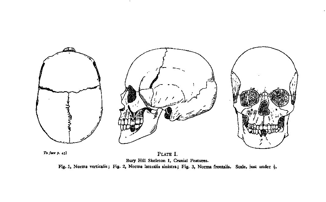 The Bury Hill Excavations