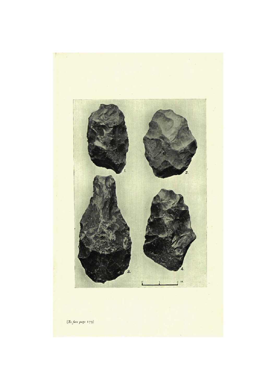 The Antiquity of Man in Hampshire