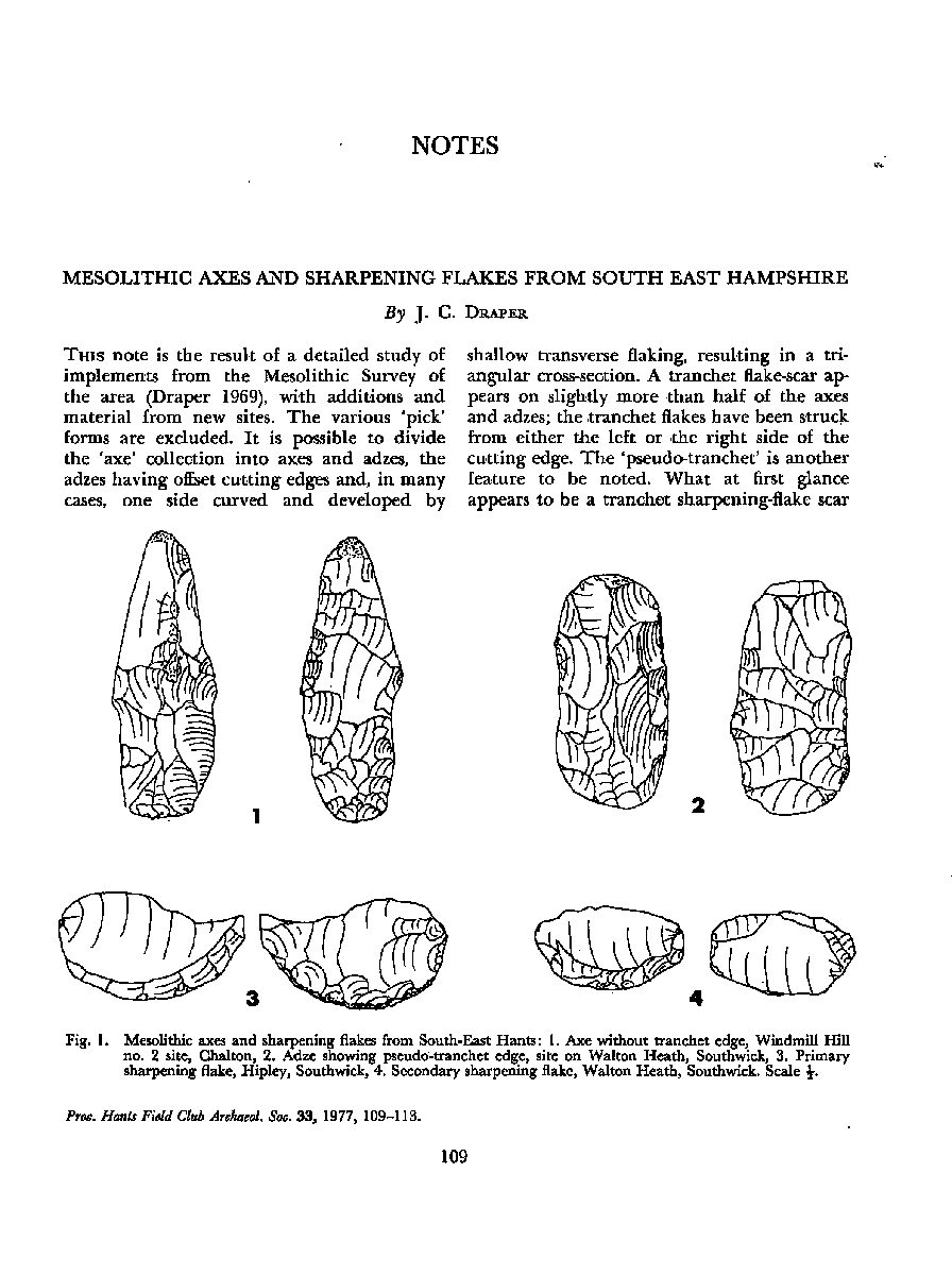 Mesolithic axes and sharpening flakes from South East Hampshire