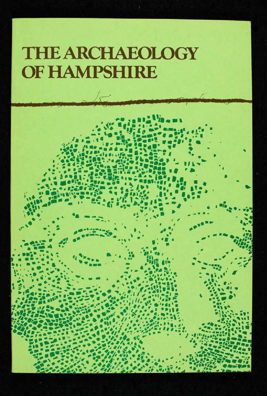 The Archaeology of Hampshire