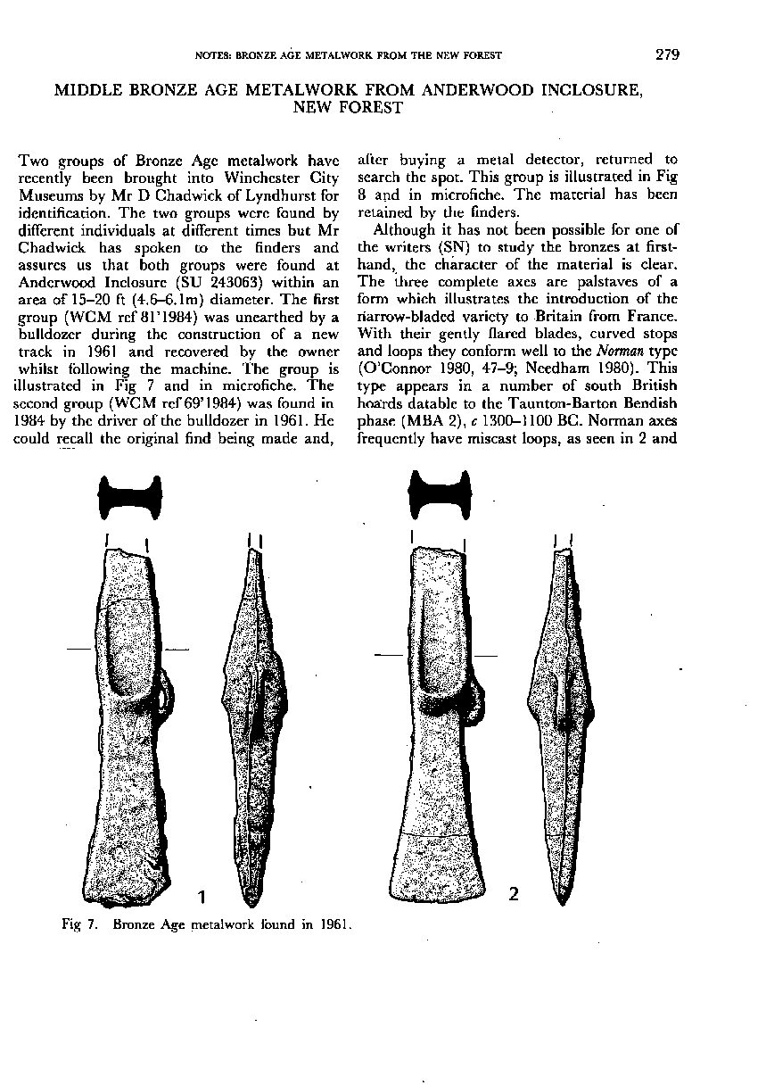 Bronze Age Metalwork from the New Forest