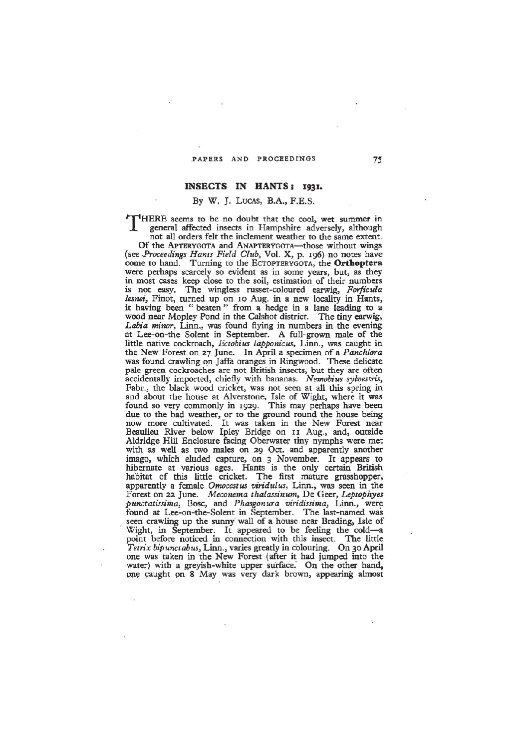 Other Material