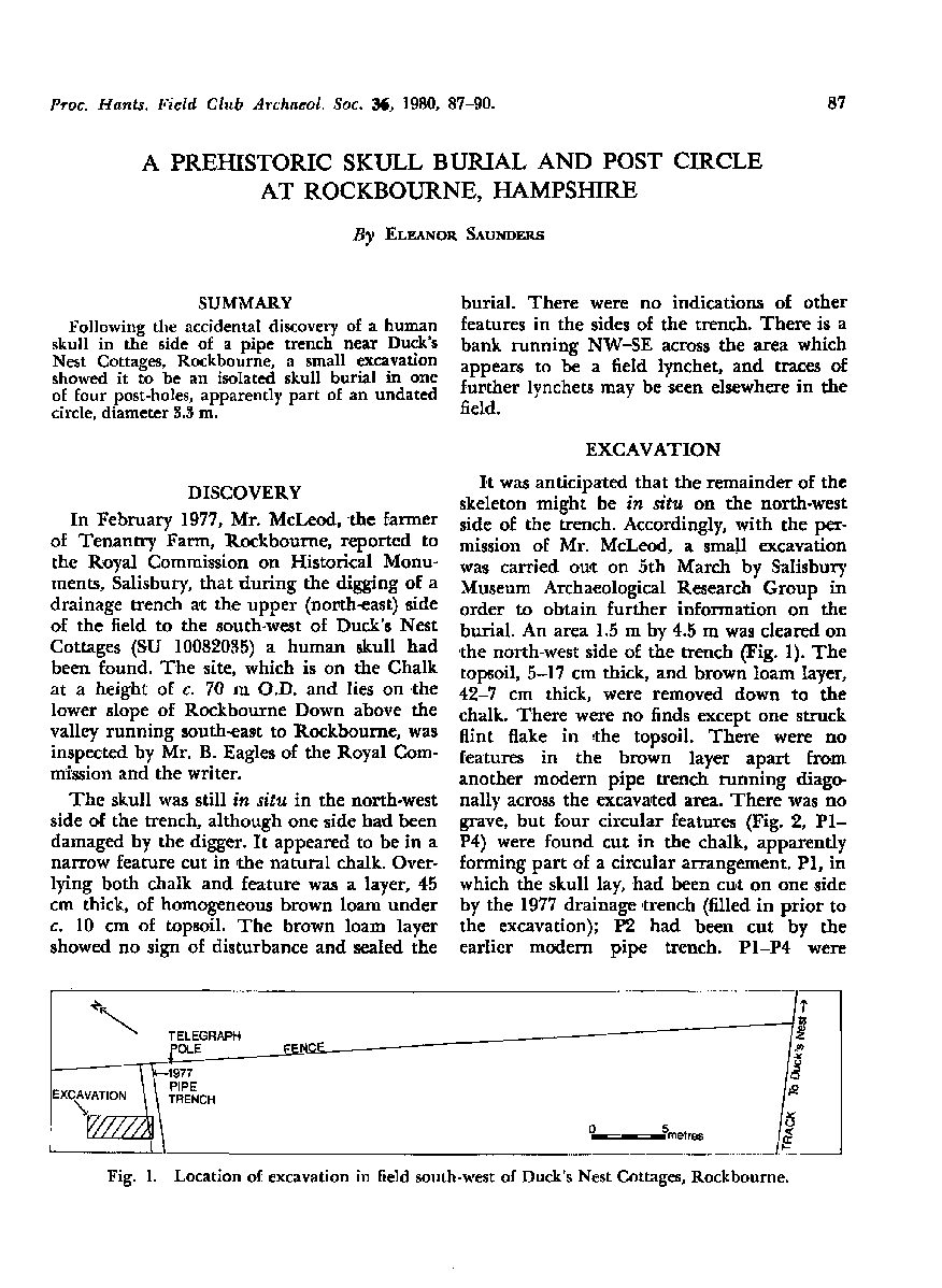 A prehistoric skull burial and post circle at Rockbourne, Hampshire