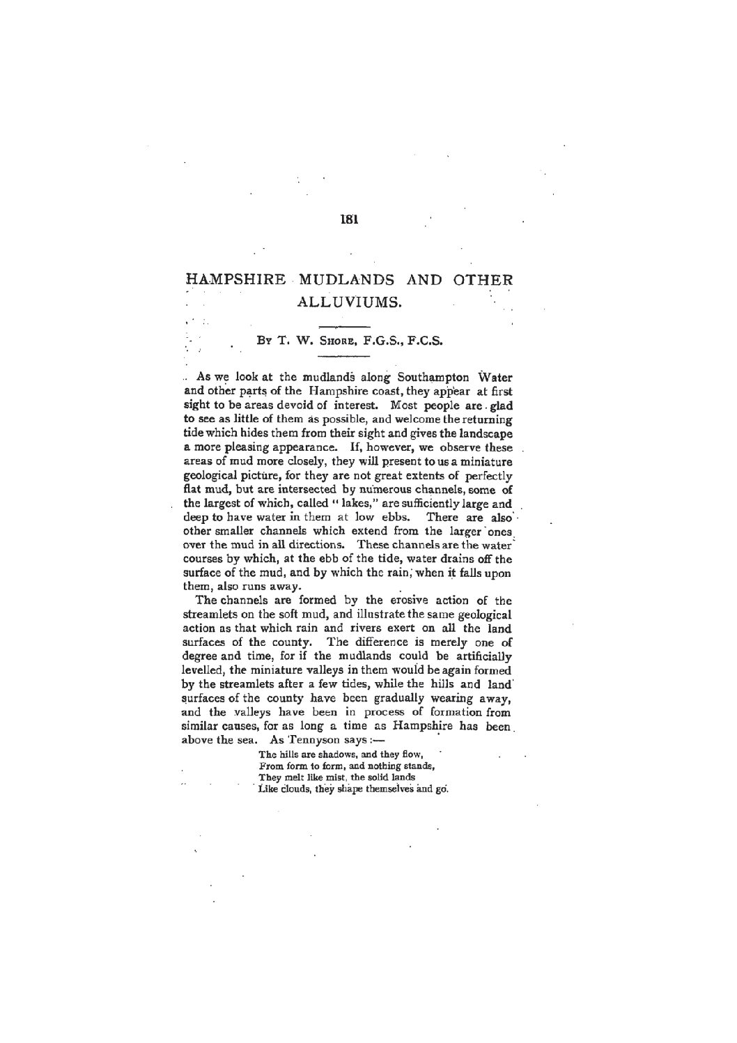 Hampshire Mudlands and other Alluviums