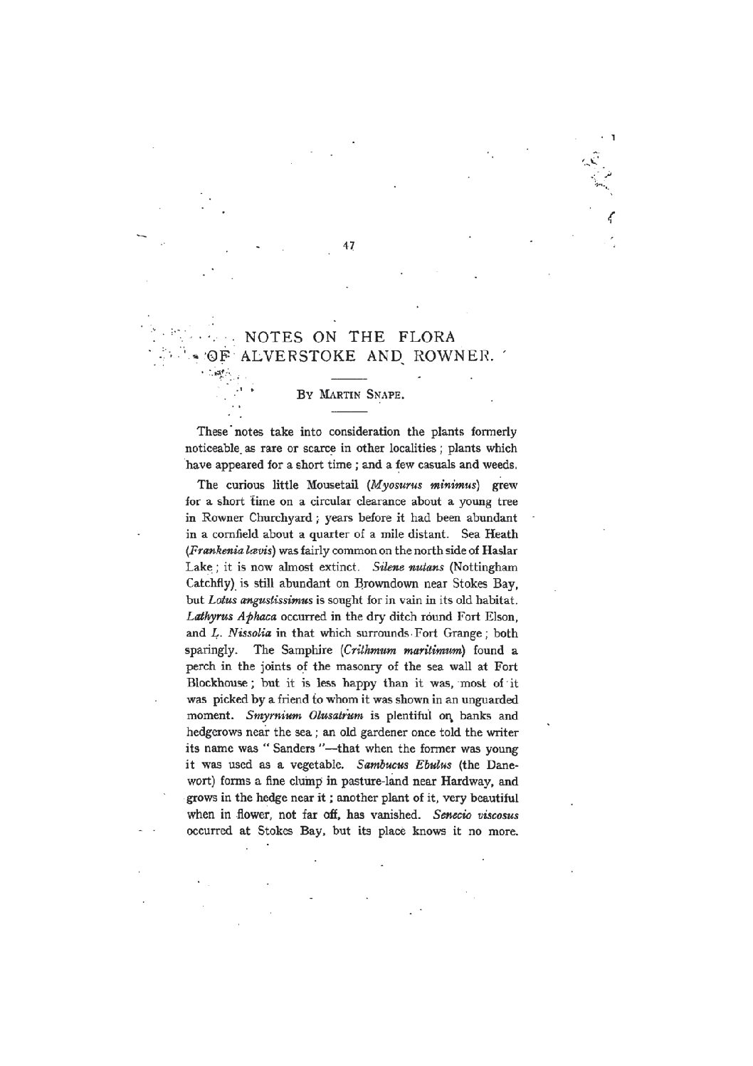 Notes on the Flora of Alverstoke and Rowner