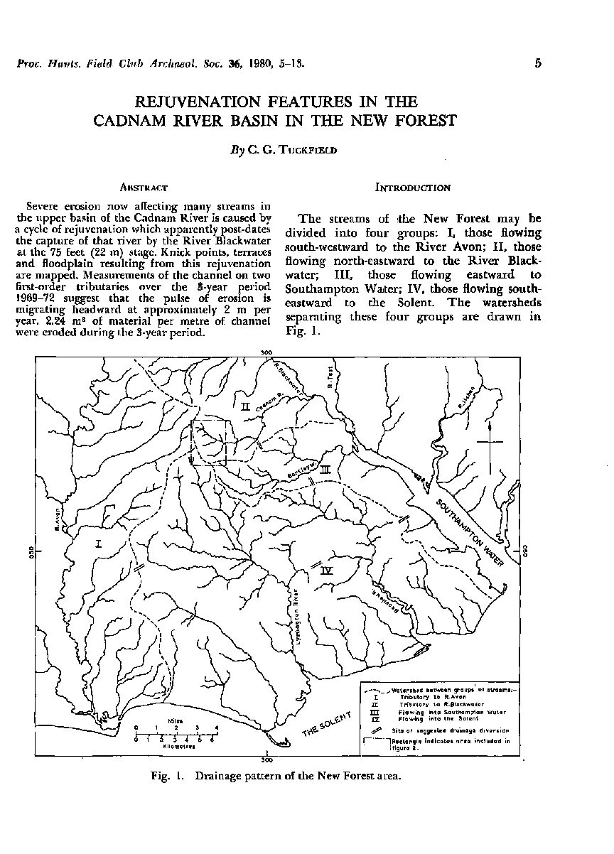 Rejuvenation features in the Cadnam River basin in the New Forest
