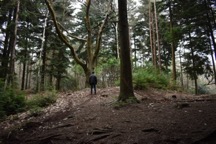 Castle Hill
