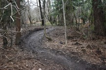 Damage coused by moutain bikers.